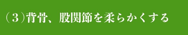 背骨、股関節を柔らかくする