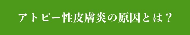 アトピー性皮膚炎の原因とは？