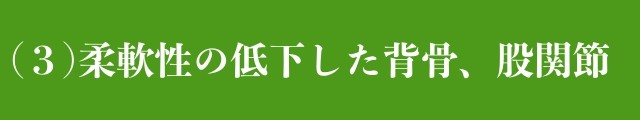 柔軟性の低下した背骨、股関節