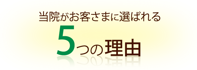 （見出し）選ばれる理由-5-orange