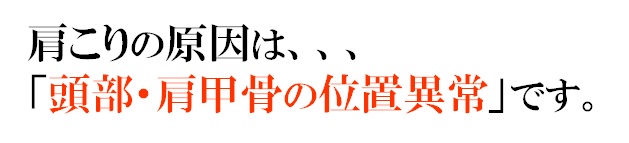 肩こりの原因は「頭部・肩甲骨の位置異常」です。