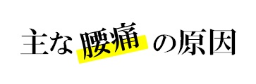 主な腰痛の原因