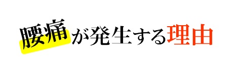 腰痛が発生する理由