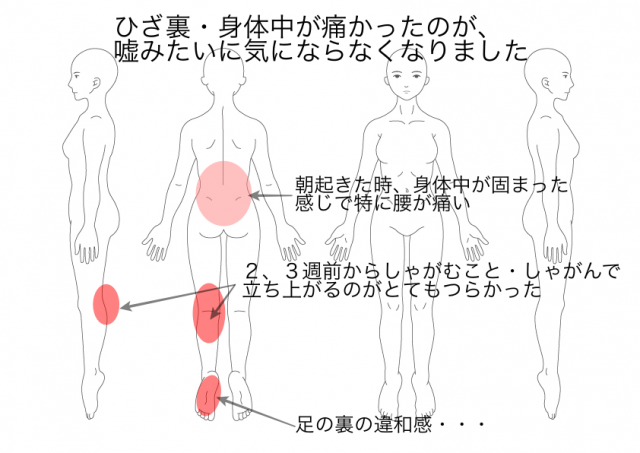 ひざの痛み：広瀬直美