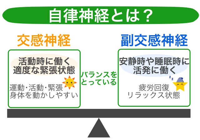 自律神経２