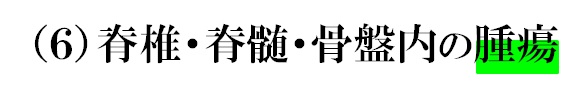 ６脊椎・脊髄・骨盤内の腫瘍