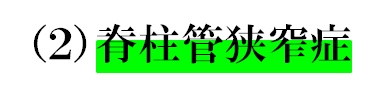 ２腰部脊柱管狭窄症