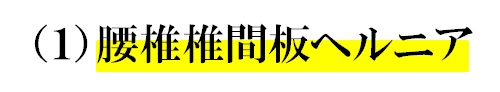 １腰椎椎間板ヘルニア