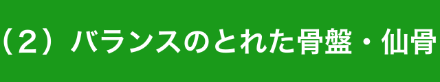 バランスのとれた骨盤・仙骨