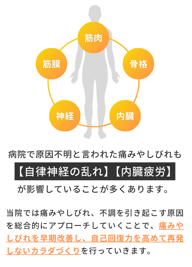 病院で原因不明と言われた痛みやしびれも自律神経の乱れ、内蔵疲労が影響していることが多くあります