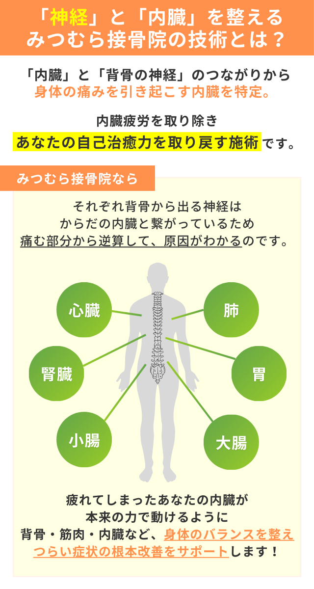 岐阜県のみつむら接骨院の自律神経と内臓を整える技術とは