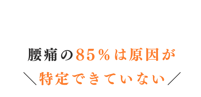 腰痛の８５％は原因が特定できていない