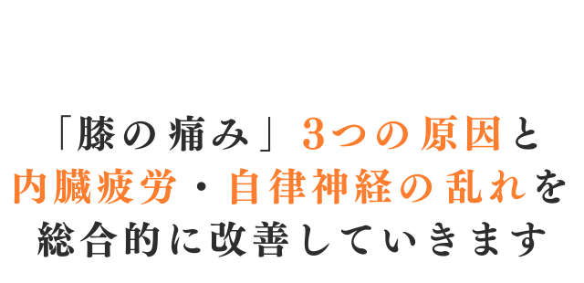 「膝の痛み」3つの原因と内臓疲労・自律神経の乱れを総合的に改善していきます