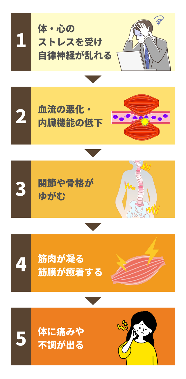 体の痛み・不調が出る順番